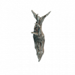 流木03