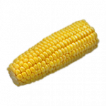 焼きとうもろこし