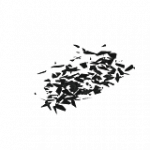 壊れたガラス01