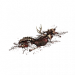 腐敗した動物の死体