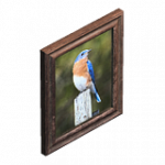 = 写真（小） = ランダムヘルパー