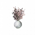 桜（ピンク）
