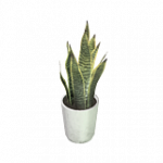 鉢植え（ピンク）02