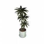 鉢植え（ピンク・高）01