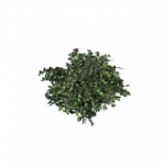 = ブルーベリー = ランダムヘルパー