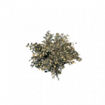 枯れたブルーベリー(POI)