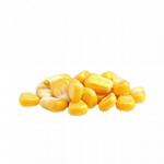 トウモロコシ（種子）