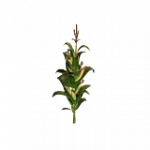 = スーパーコーン = ランダムヘルパー