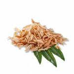 ユッカ（種子）