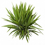 = ユッカ = ランダムヘルパー