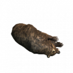 スリーパー（クマ）