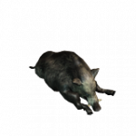 スリーパー（イノシシ）