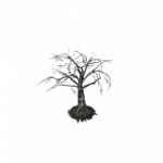 焦げた樹木-楓01