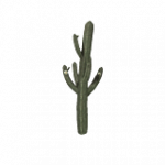 treeCactusTwitch01