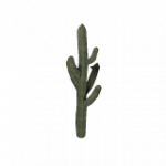 サボテン02