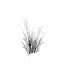 樹木-グリーンの枯草・斜め