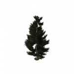 = 樹木・小・細 = ランダムヘルパー