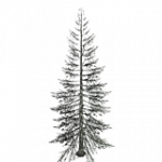 treePineBurntFullMed