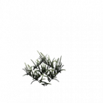 樹木-短い草